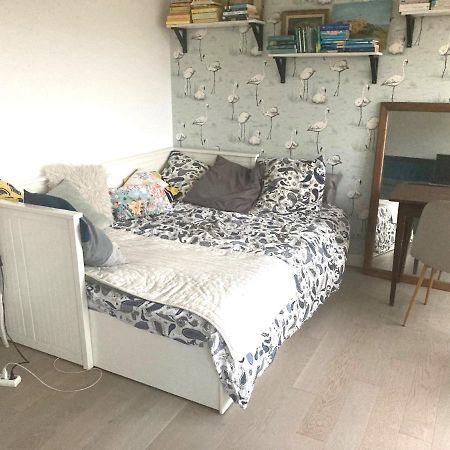 Appartement Lumineux 2 Chambres Ciboure Dış mekan fotoğraf